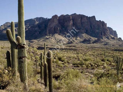 Superstition Mountain- #61042