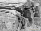 Wood Pile- #2635_bw